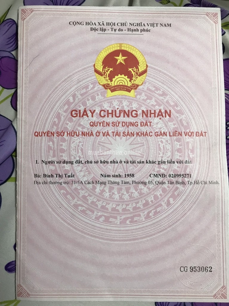 Hxh P5 Q.TB chính chủ bán