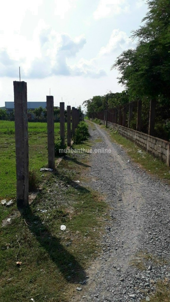 LONG AN --- Bán đất