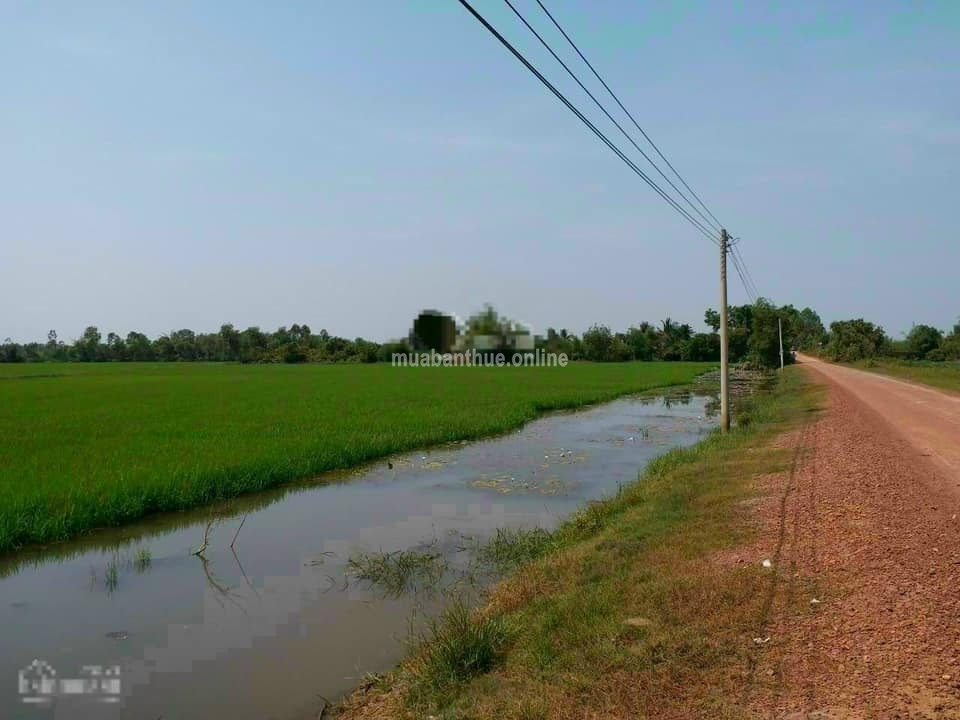 Cần Bán Đất 2MT tại xã Hòa Khánh Nam, huyện Đức Hòa, Long An