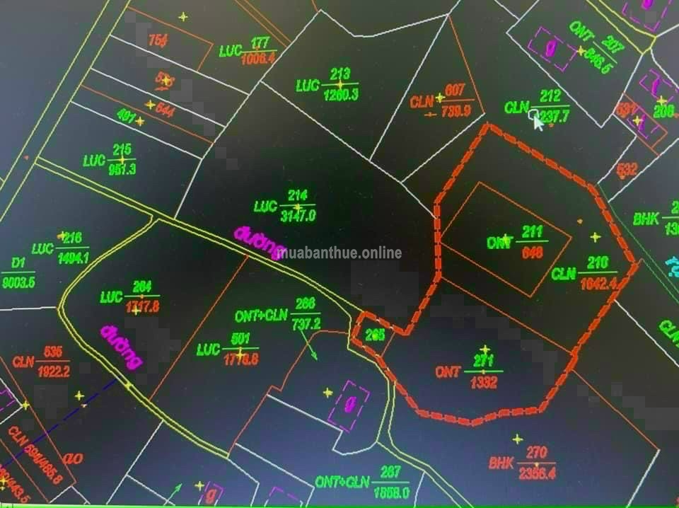 Bán đất: Vị trí: xã nhựt Chánh bến lức long an