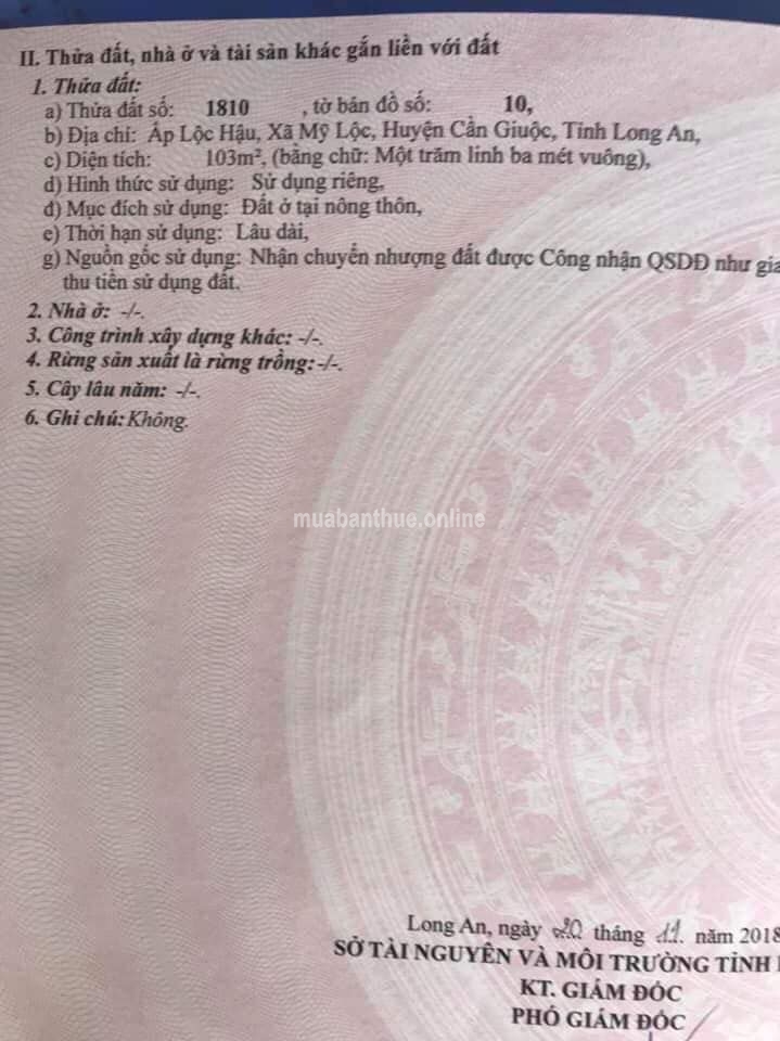 Chính chủ gửi Bán nền Đất đẹp xe Ba Gát chạy thuộc ấp Lộc Hậu Xã Mĩ Lộc Cần Giuộc Long An.