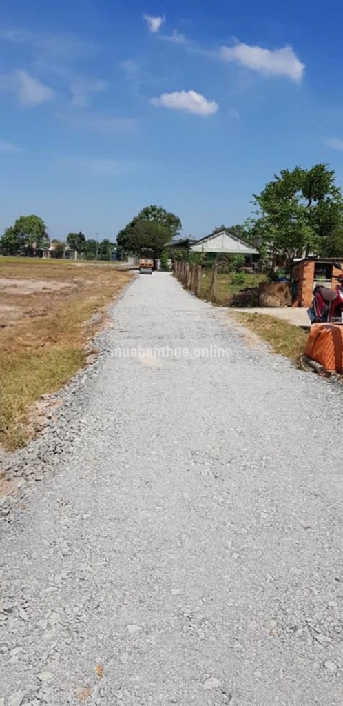 **LONG AN ĐẤT NGỘP ĐẦU TƯ**