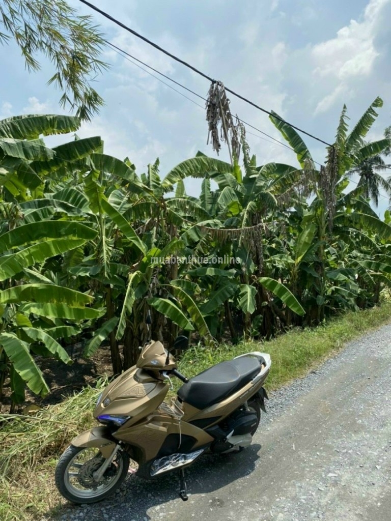 Bán MT Lô B Thích Thiện Hòa, xã Lê Minh Xuân, Bình Chánh