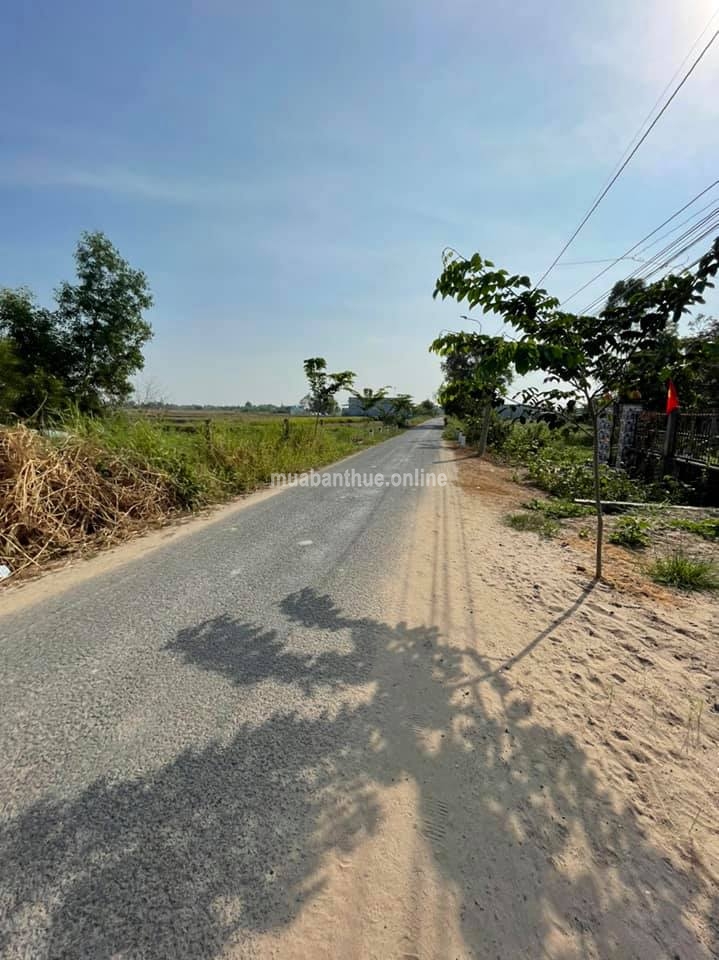 Long An : Bán đất mặt tiền đường Huỳnh Văn Năm, Đường nhựa 9m, Xã Đông Thạnh, Cần Giuộc