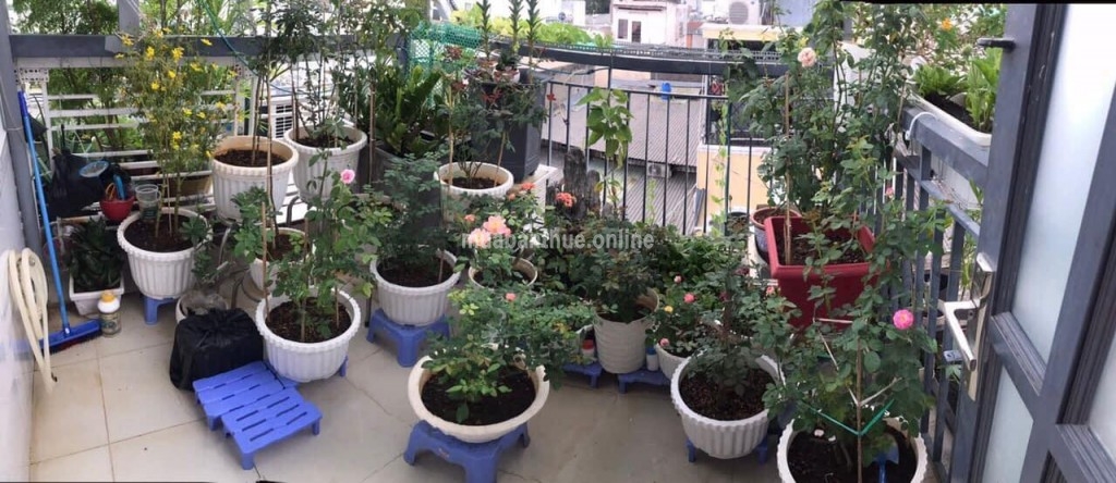 Nhà đẹp Vườn Lài Phú Thọ Hoà Tân Phú, đẹp, 32m2, đường trước nhà rộng sáng thoáng, ô tô quay đầu, 3.8tỷ.