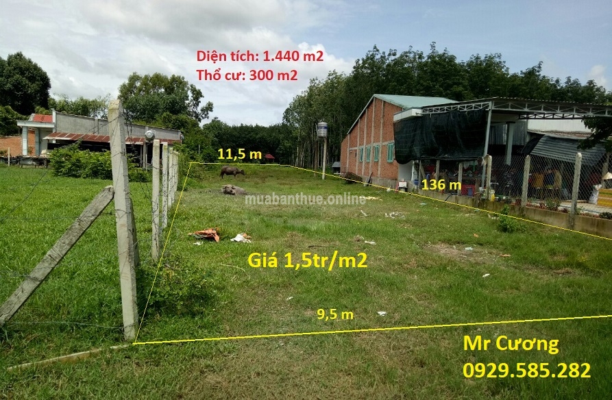 Bán lô đất 1.440m2, có 300 thổ cư đường Nguyễn Thị He