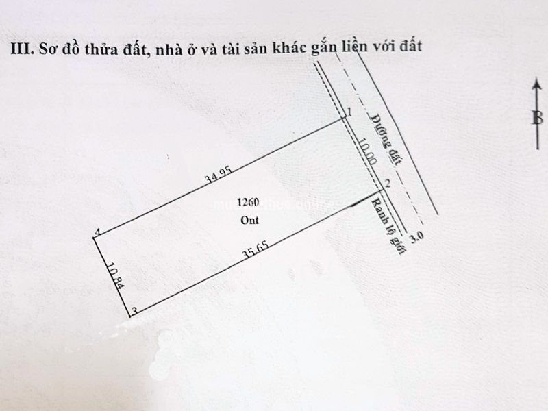 Bán nền đất toàn bộ thổ cư ấp Cây Da, xã Tân Phú Trung, huyện Củ Chi