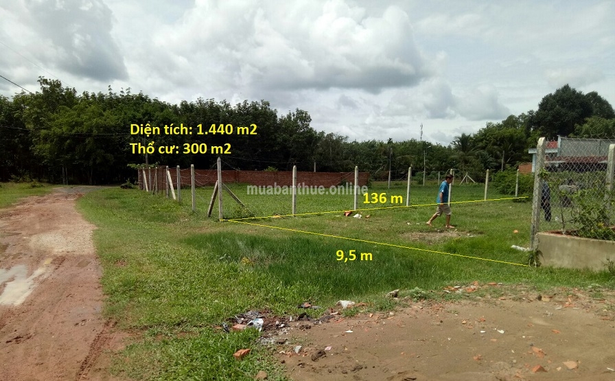 Bán lô đất 1.440m2, có 300 thổ cư đường Nguyễn Thị He