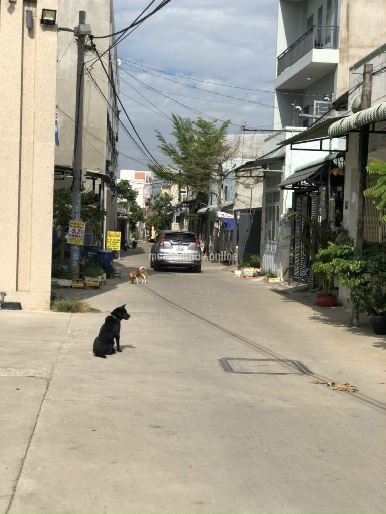 Đất Hẻm 32 Võ Văn Hát phường Long Trường , Quận 9