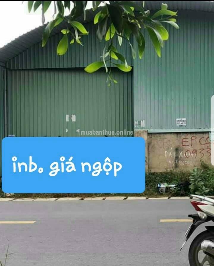 Bán Nhà Xưởng Thạnh Phú , Vĩnh Cửu