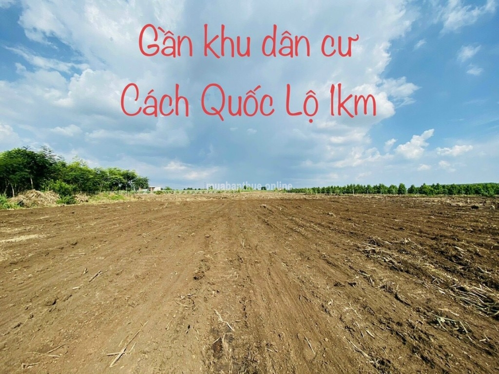 Đất H.Trảng Bom Cách Quốc Lộ 1A Chỉ 1km