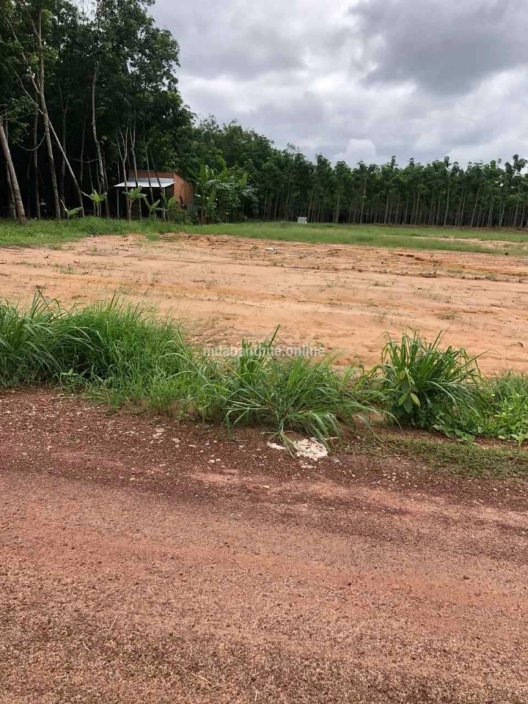 Cần bán lô đất Long Nguyên, Huyện Bàu Bàng