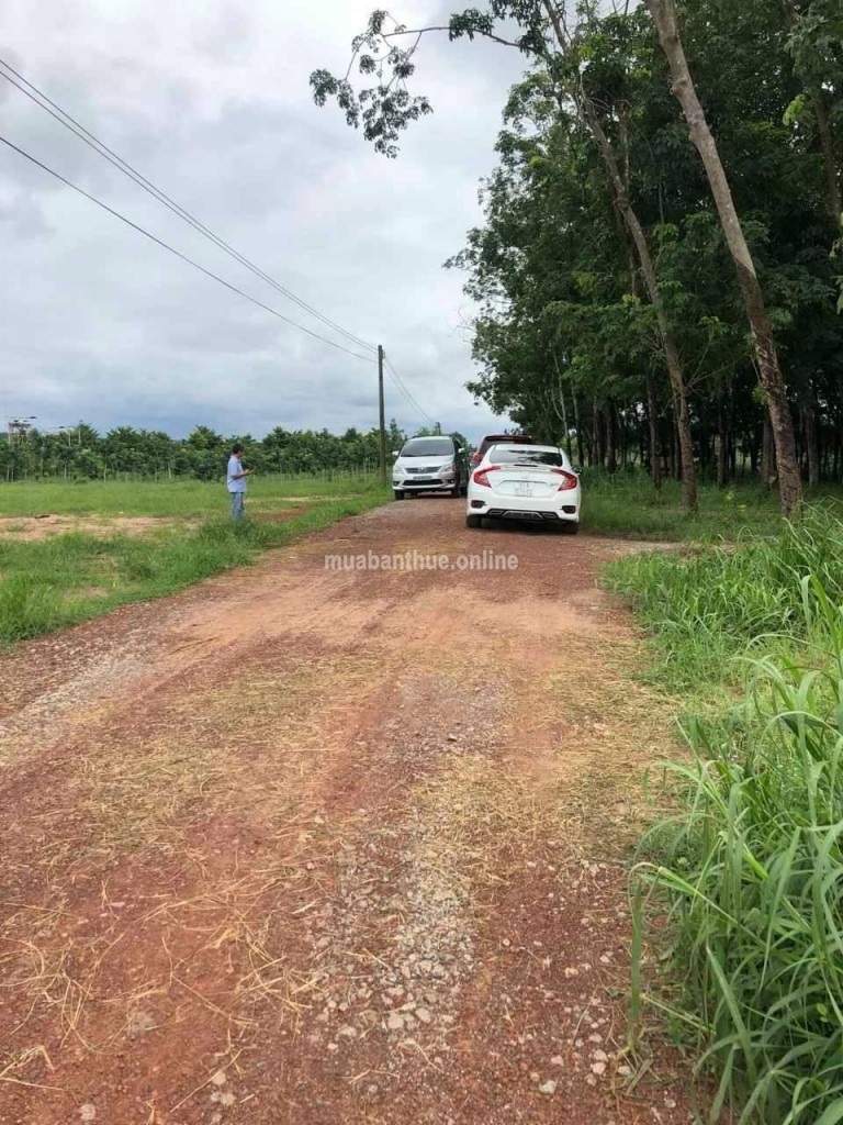 Cần bán lô đất Long Nguyên, Huyện Bàu Bàng