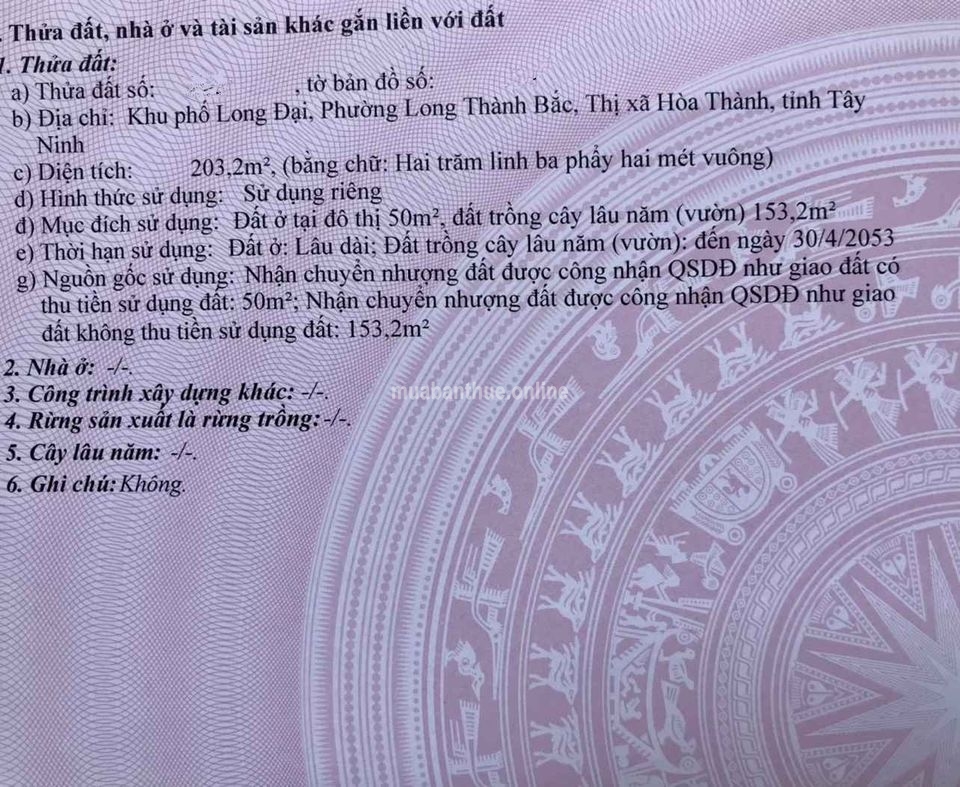 Cần bán nhà đất ngang 9.9 dài 24m thực tế sử dụng 28 mét.