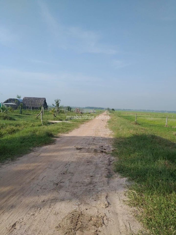 1700m2 đất , 1ty300trieu.