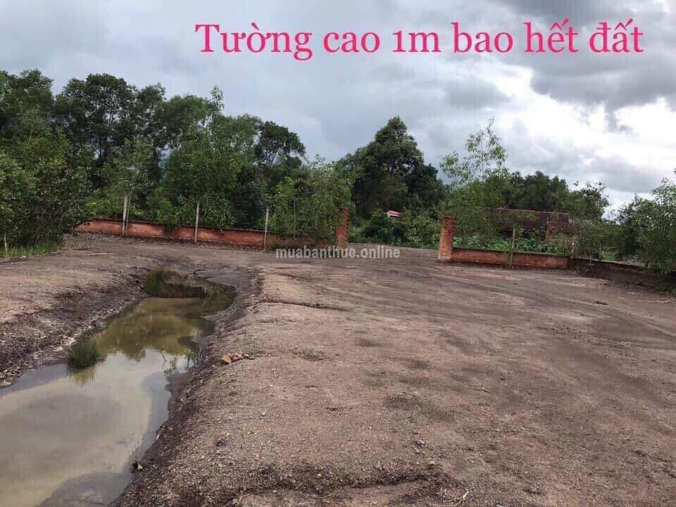 BÁN ĐẤT CỦ CHI