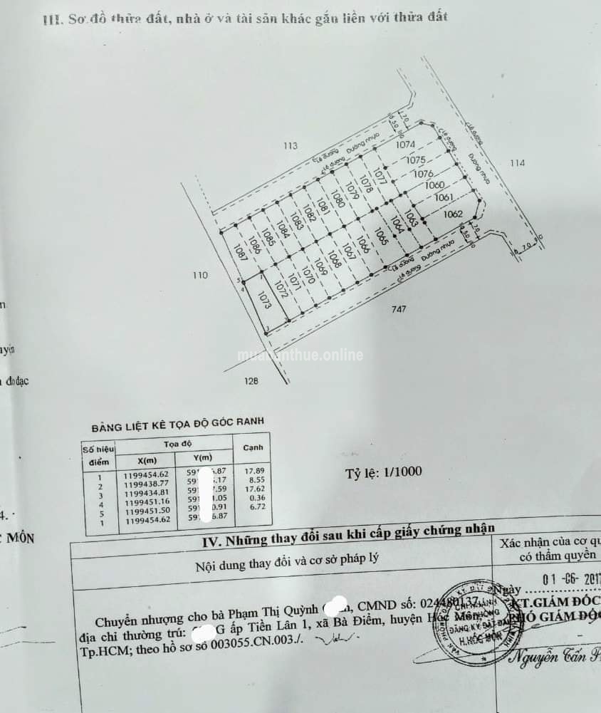 Cơ Hội Cho Nhà Đầu Tư