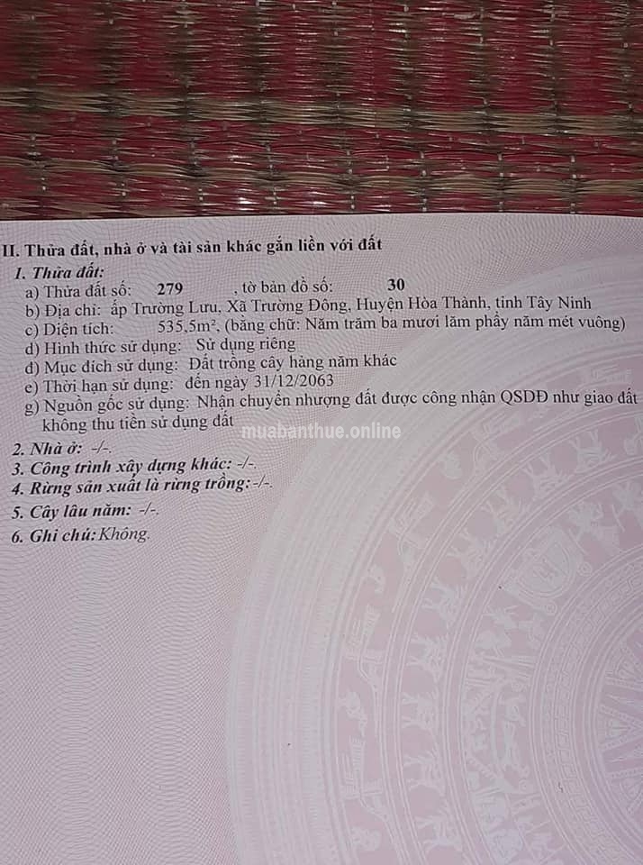 kèo thơm cho nhà đầu tư. Đất ấp trường lưu xã trường đông huyện hòa thành.