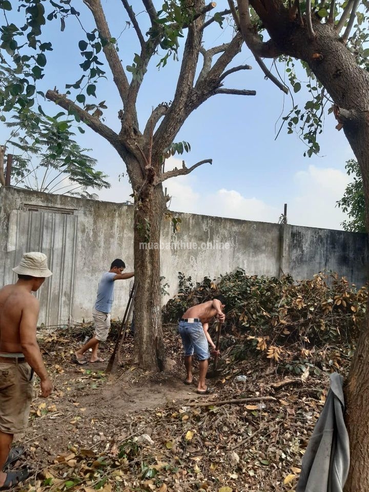 -Đất ông nội để lại cho nay cần tiền bán chính chủ trước đến nay.