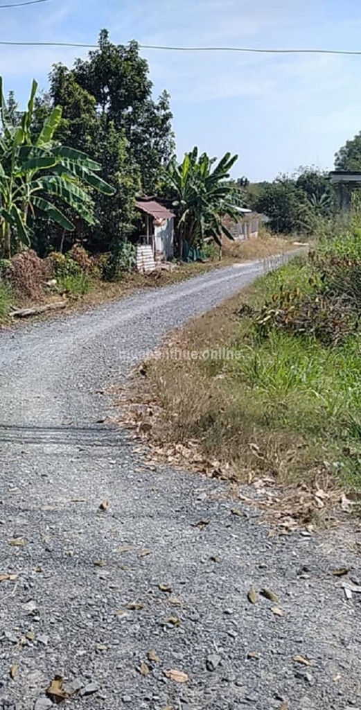 An Nhơn Tây --Xuống giá nữa rồi