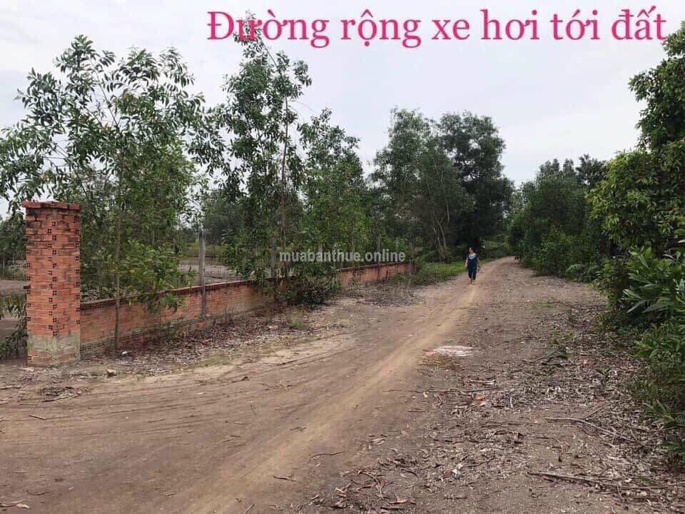 BÁN ĐẤT CỦ CHI