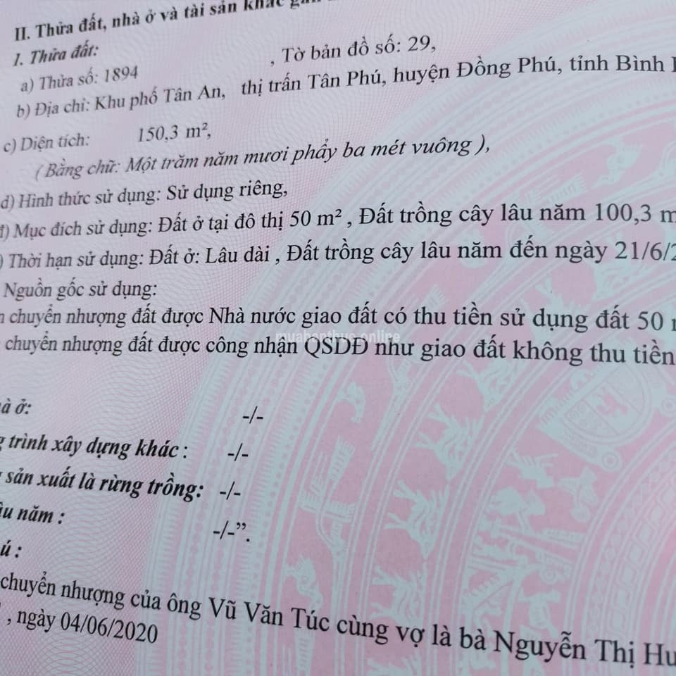 Chủ cần ra lô đất sát đảo yến để mua rẫy,