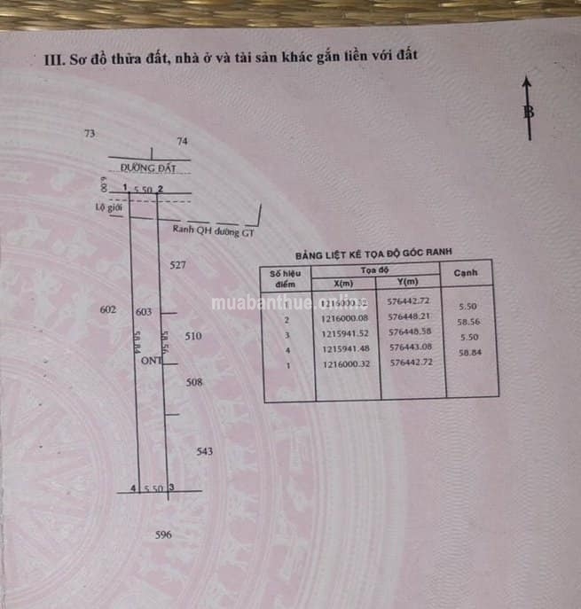 ĐẤT Ở MẶT TIỀN NHỰA THÔNG GẦN 350M2 FULL THỔ (5.5x58m) gần QL22, Cầu Vượt