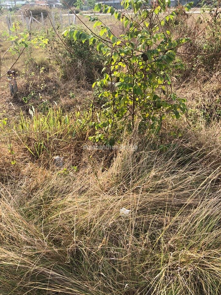 Mat tiền đường nhựa trung an