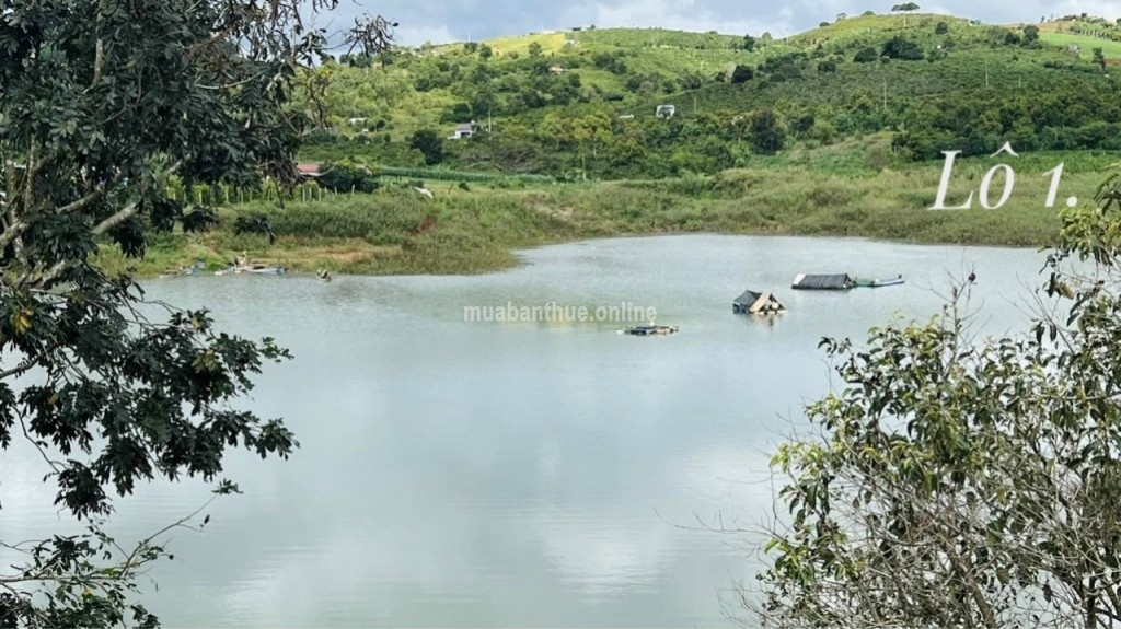 Đất nghĩ dưỡng mặt tiền trực diện hồ Đại Ninh, Đức Trọng, Lâm Đồng cần bán